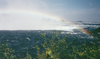 10_Niagara_Rainbow_Above_Falls.png